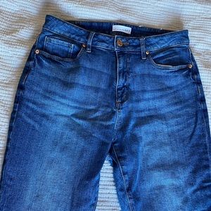 Curvy Fit High Waisted Skinny Jeans